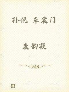孙悦 车震门